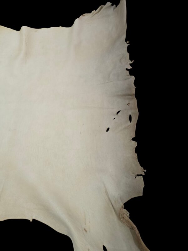 Deerskin Hide Smoke color - C-13 Pic 5