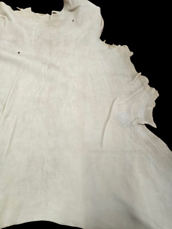 Deer Hide Smoke color - C-13 Pic 6