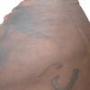 Oil Tan Cowhide Dk. Mahogany 4/5 oz. 02-61
