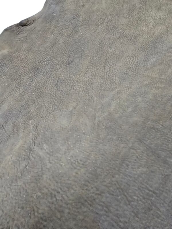 20260502_153338 Med. Brown Oil Tan Cowhide 4/5 oz. 02-63