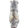 Eastern Coyote Hide