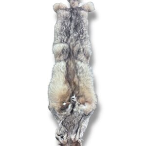 Eastern Coyote Hide