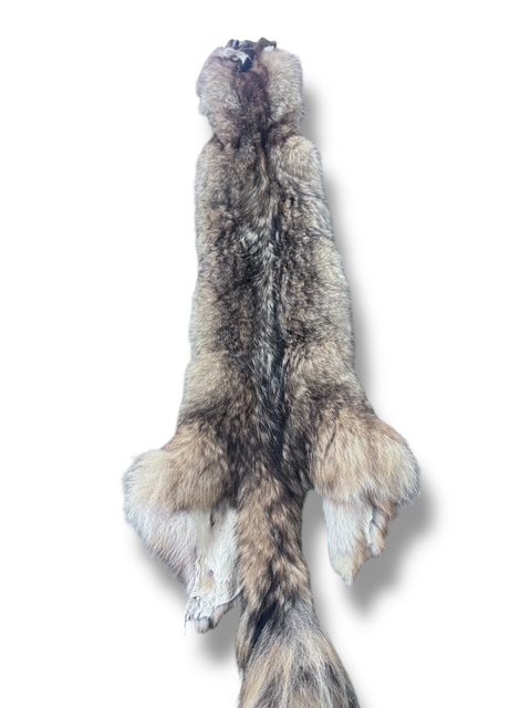 Eastern Coyote Hide