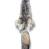 Eastern Coyote Hide