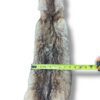 Eastern Coyote Hide