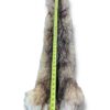 Eastern Coyote Hide