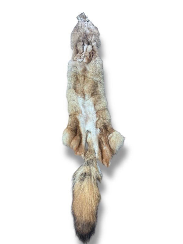 Eastern Coyote Hide