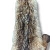 Eastern Coyote Hide
