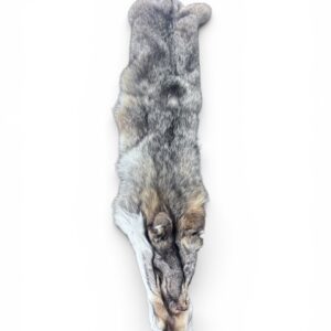 Eastern Coyote hide 3