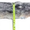 Eastern Coyote Hide 2