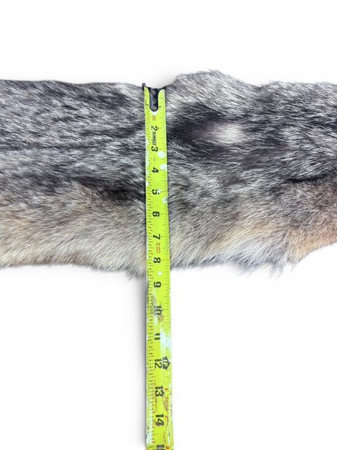 Eastern Coyote Hide 2