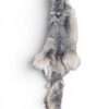 Eastern Coyote Hide 2