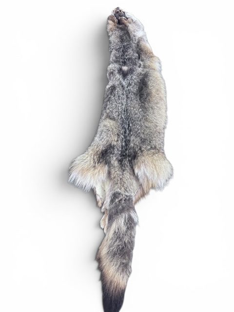 Eastern Coyote Hide 2