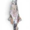 Eastern Coyote Hide 2