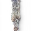 Eastern Coyote Hide 3