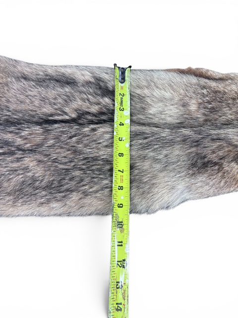 Eastern Coyote Hide 3
