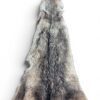 Eastern Coyote Hide 3
