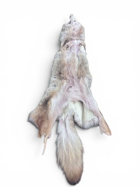 Coyote Hide 3