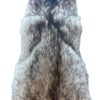 Eastern Coyote Hide 4