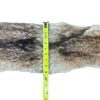 Eastern Coyote Hide 4