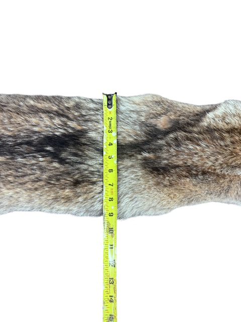 Eastern Coyote Hide 4