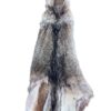 Eastern Coyote Hide 4
