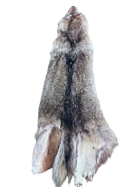 Eastern Coyote Hide 4
