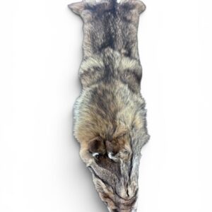Eastern Coyote Hide 4