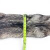 Eastern Coyote Hide 5