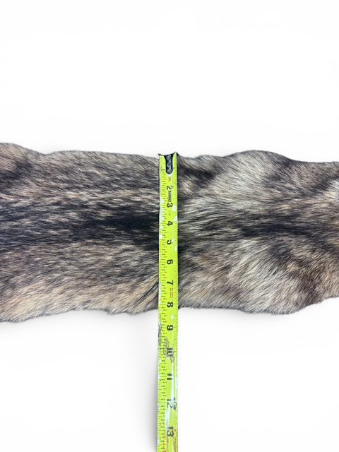 Eastern Coyote Hide 5