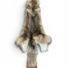 Eastern Coyote Hide 5