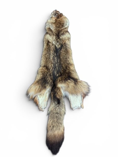 Eastern Coyote Hide 5