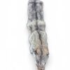 Eastern Coyote Hide 6