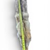 Eastern Coyote Hide 6