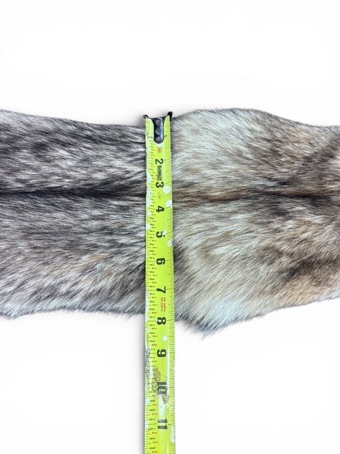 Eastern Coyote Hide 6