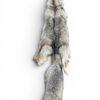 Eastern Coyote Hide 6