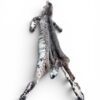 Eastern Bobcat Pelt 1