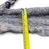 Eastern Bobcat Pelt 1