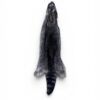 Racoon Hide 2