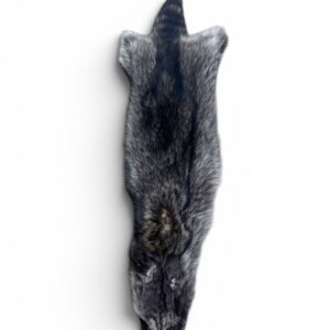 Racoon Hide 2