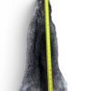 Racoon Hide 2