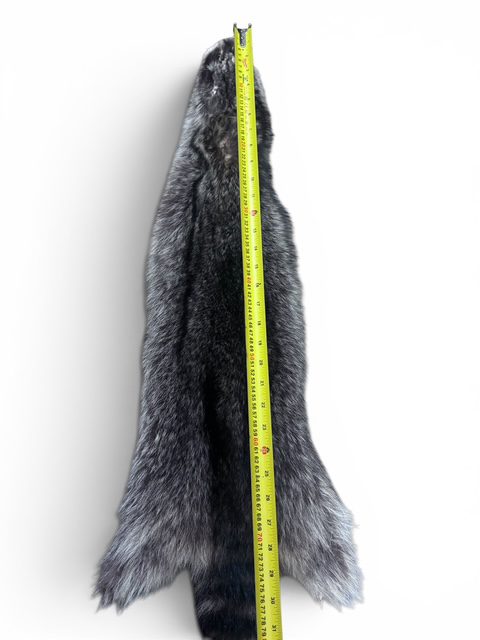 Racoon Hide 2