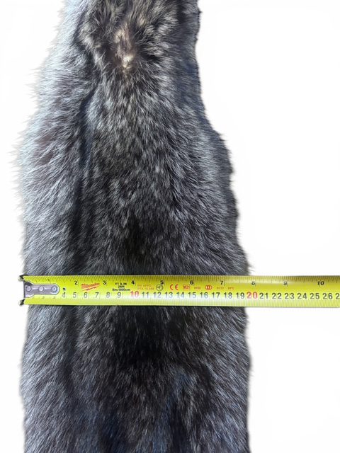 Racoon Hide 2