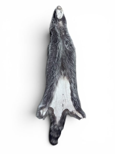 Racoon Hide 2