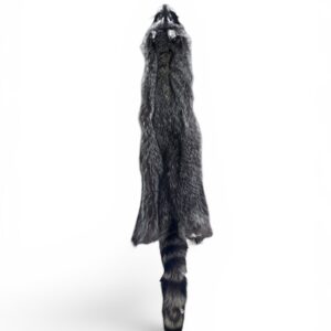 Racoon Hide 3
