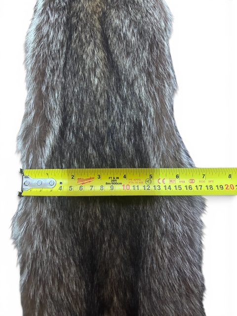Racoon Hide 3