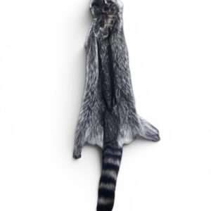 Racoon Hide 4