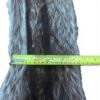 Racoon Hide 4