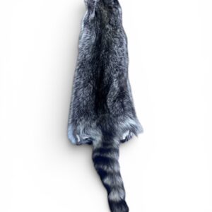 Racoon Hide 5