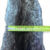 Racoon Hide 5
